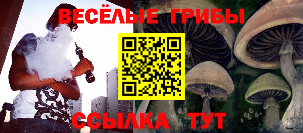 Ишимбай  Галлюциногенные грибы ЛСД  Вход с VPN 